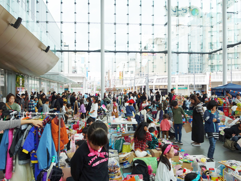 フェスティバル6